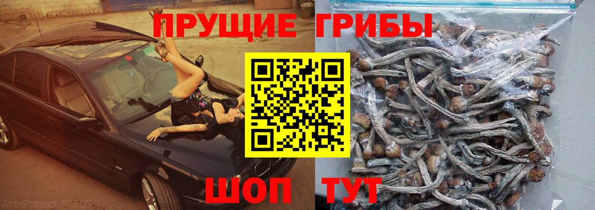 Псилоцибиновые грибы мухоморы Мыски